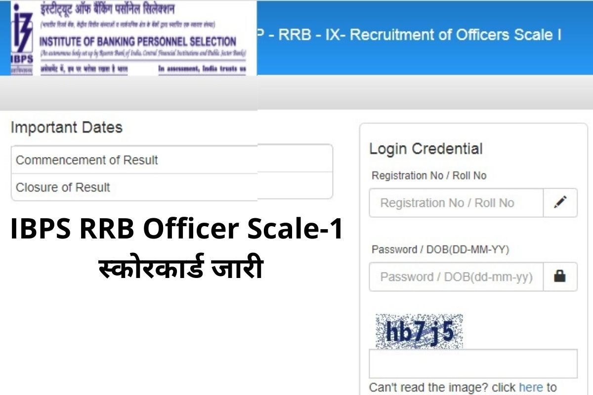 Ibps Rrb Officer Scale I Prelims Result Declared Steps To Check Marks