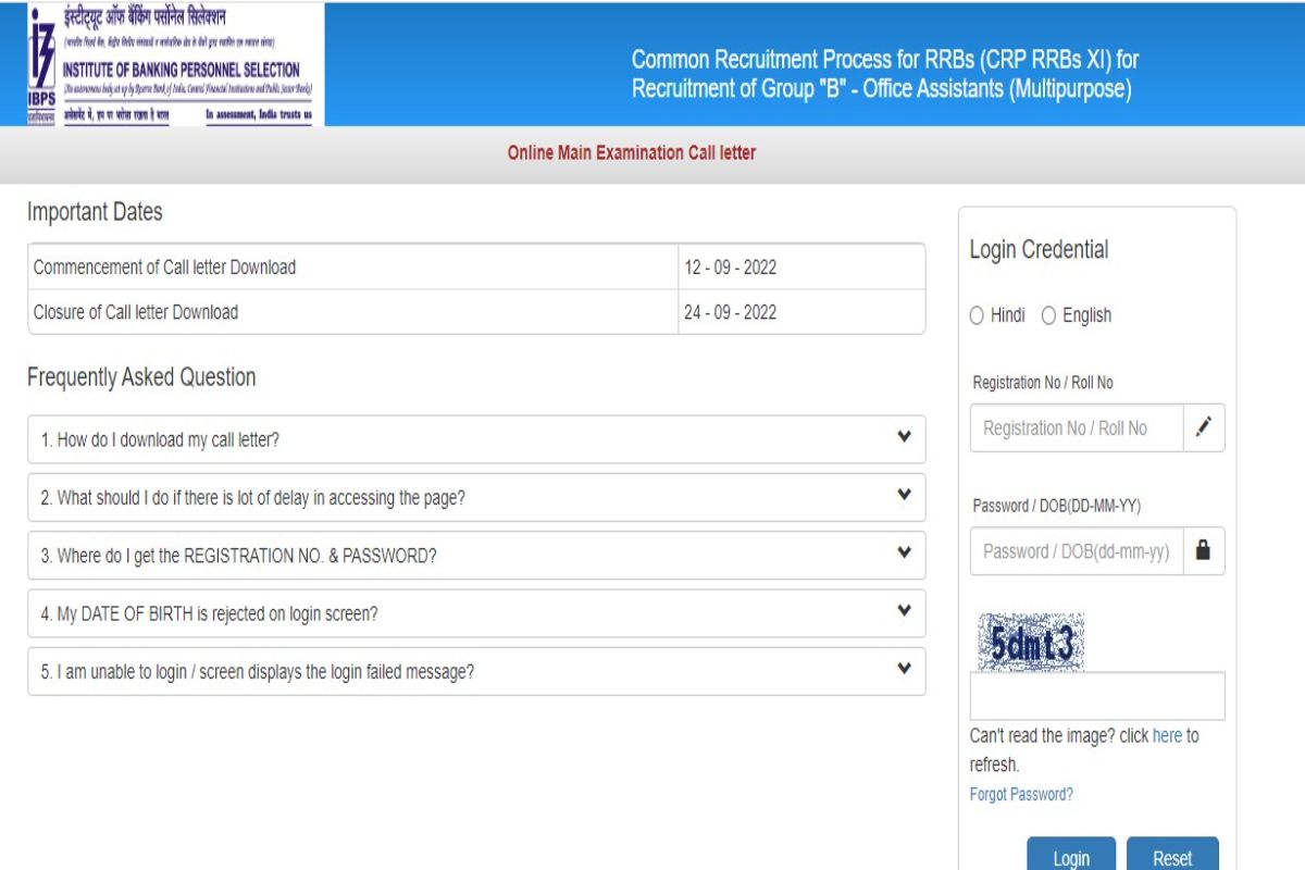 Ibps Rrb Clerk Mains Admit Card Out At Ibps In Check Direct Link