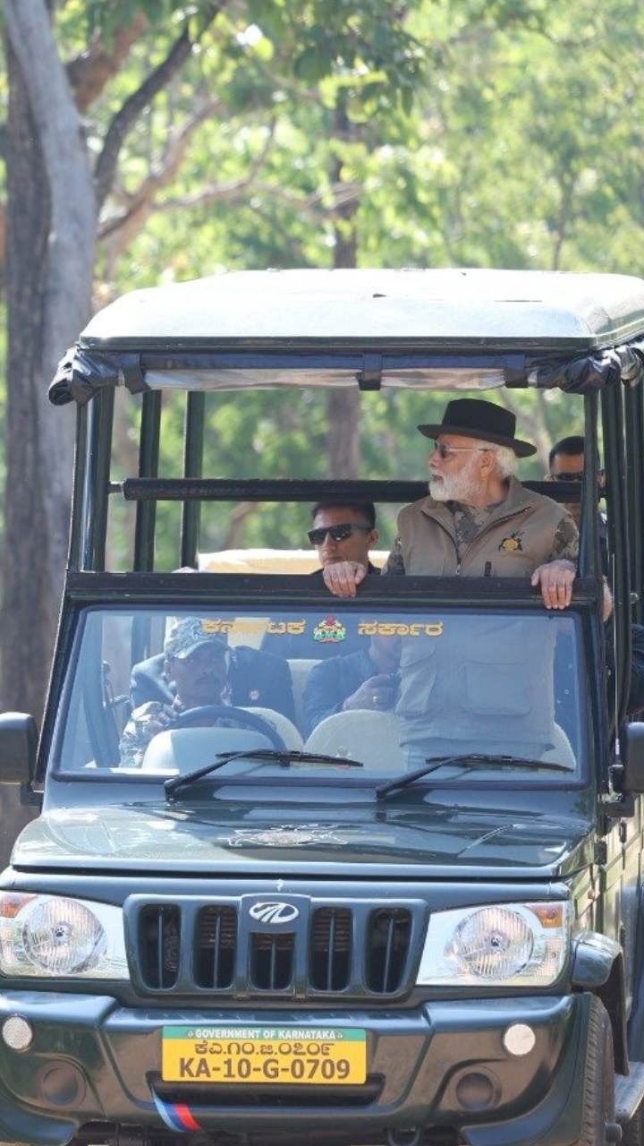 Pm Modi S Jungle Safari At Bandipur Tiger Reserve