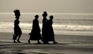 The beach is one of the prominent attractions of the town. Unspoilt, clean and relatively less crowded, it is one of the popular beaches in Maharashtra. One can find water sports activities like boating and sailing. It is also an ideal place for swimming as the waters are shallow.