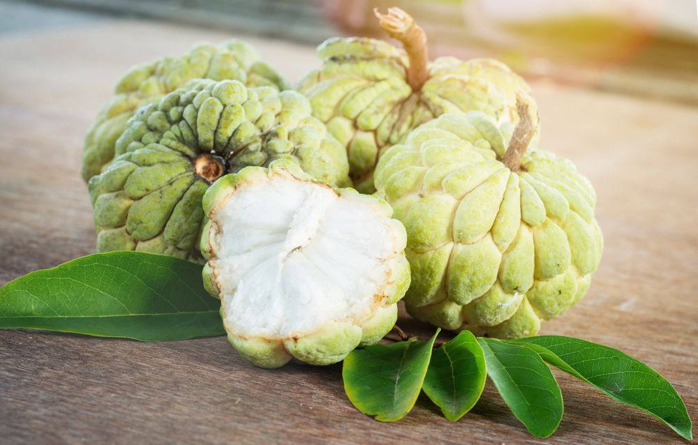 Custard apple что это за фрукт