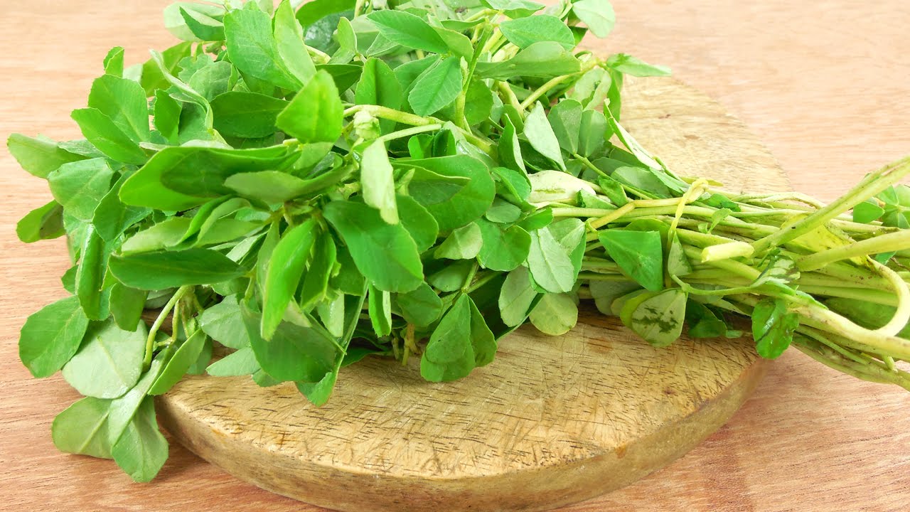 Methi Saag Benefits: कब्ज और डायबिटीज से दूर रखेगा मेथी का साग, जानें ...