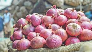 Onion peel benefits Onion peel benefits