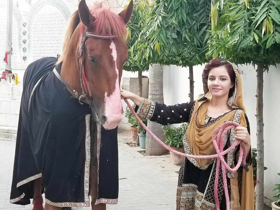 Pakistan Chachi Rabi अपने बेड पर सांपों-मगरमच्छों के साथ खेलती है ये पाकिस्तानी पॉप सिंगर ...
