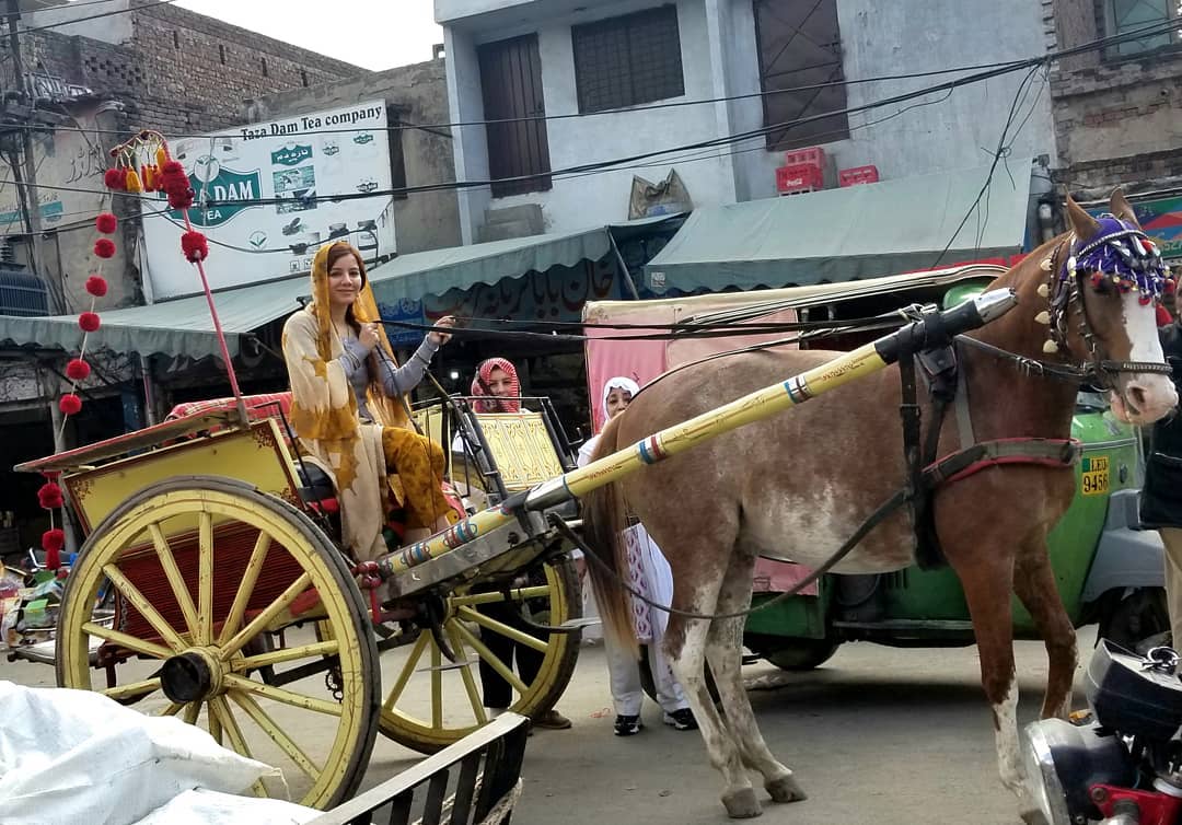 Pakistan Chachi Rabi अपने बेड पर सांपों-मगरमच्छों के साथ खेलती है ये पाकिस्तानी पॉप सिंगर ...