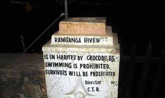 Checkmate - Don’t swim here