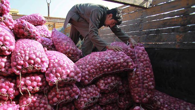 ONION