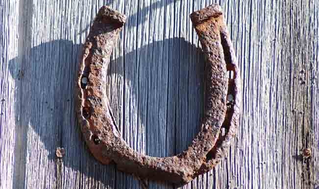 horseshoe