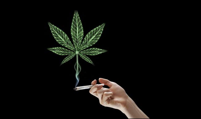 Weed