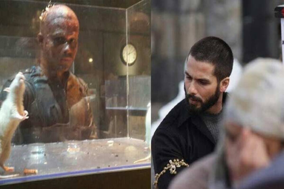 1200px x 800px - Emraan Hashmi in Mr X, Shahid Kapoor in Haider â€“ why is Bollywood going  bald? | India.com