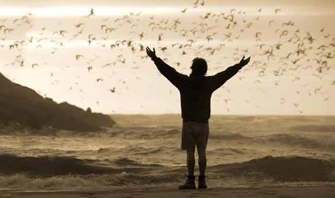 Into the Wild