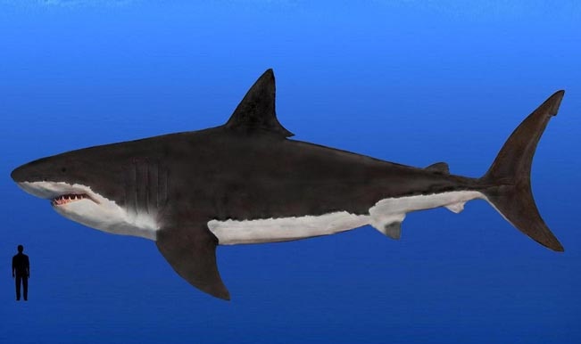 5 prehistoric beasts you never want to meet | India.com