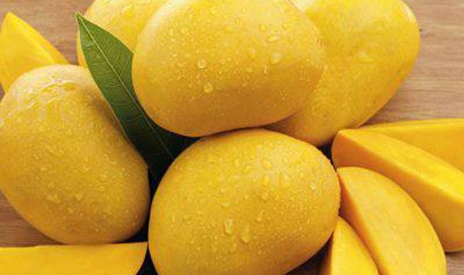 alphonso mango patel brothers