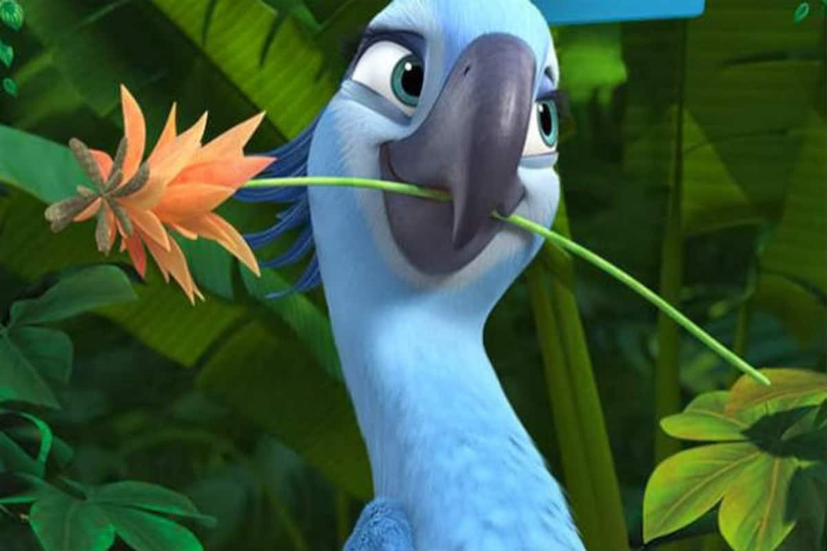 Rio 2 Movie Review Mild Entertaining Fare Compared To The First Part India Com