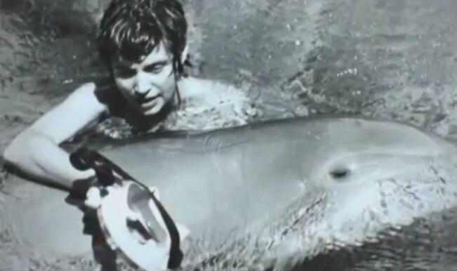When A Male Dolphin Fell In Love With A Female Researcher India When A Male Dolphin Fell In Love With A Female Researcher India