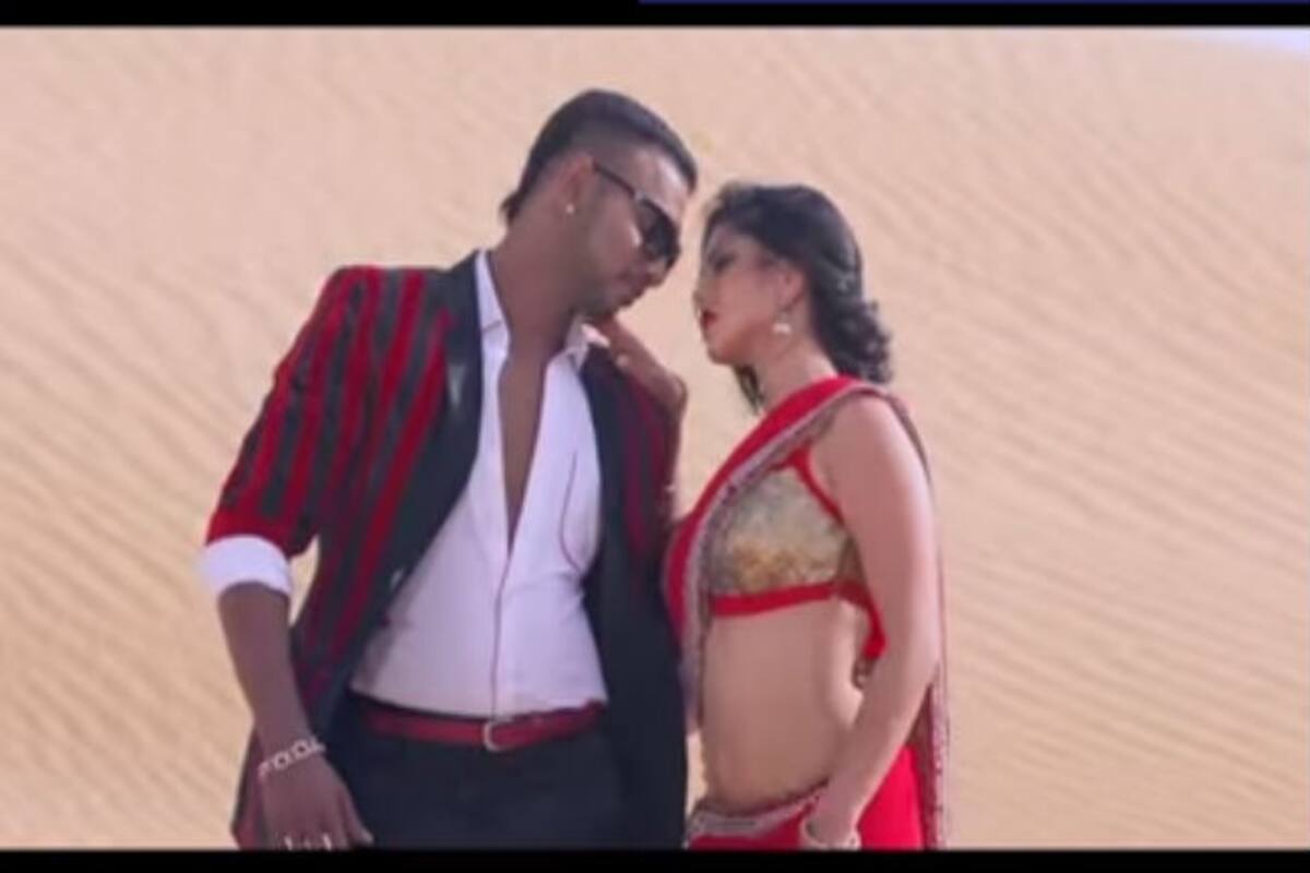 Punjabi School Sex Video - RED HOT: Sunny Leone romances Yo Yo Honey Singh lookalike in Punjabi music  video Saree Wali Girl! | India.com