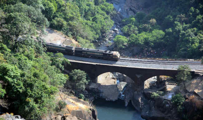 Dudhsagar: Goa tries to protect its ‘Sea of Milk’ | India.com