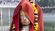 india.com top news