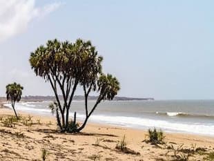 Daman and Diu