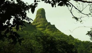 Karnala Bird Sanctuary