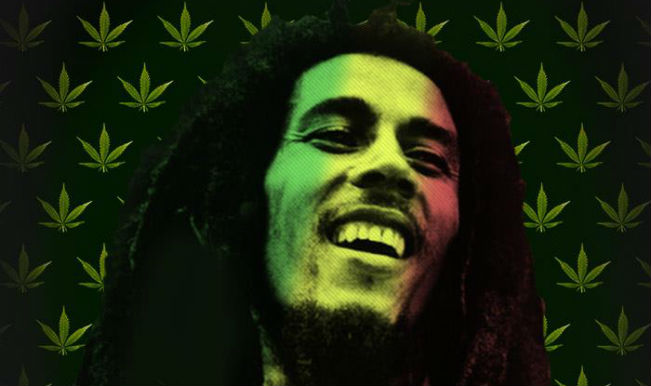 Bob marley the life and legacy of reggaes global icon