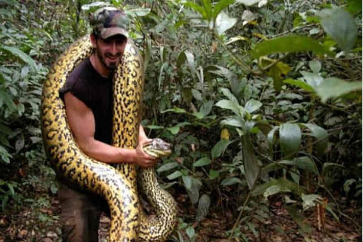 Did Paul Rosolie Survive after being Eaten by Anaconda? Get the Telecast  Time of 'Eaten Alive' on Discovery Channel 