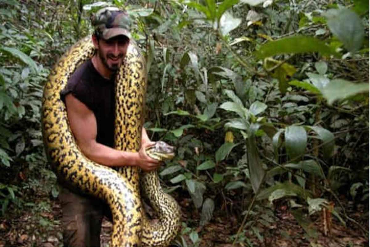 Did Paul Rosolie Survive after being Eaten by Anaconda? Get the Telecast Time of 'Eaten Alive' on Discovery Channel Did Paul Rosolie Survive after being Eaten by Anaconda? Get the Telecast Time of 'Eaten Alive' on Discovery Channel