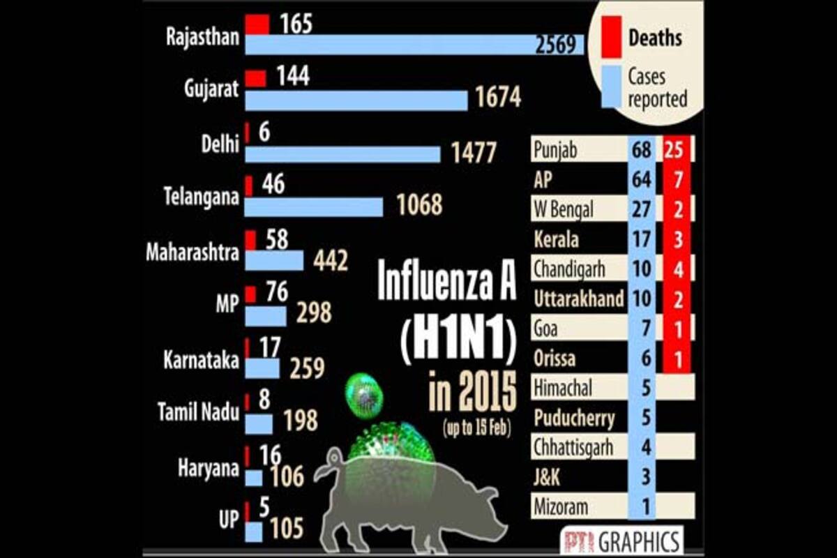 Swine Flu H1N1: All you need to know about the deadly H1N1 virus 