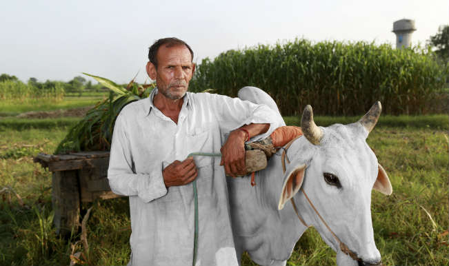 Maharashtra reported 257 farmer suicides in jan-march 2015