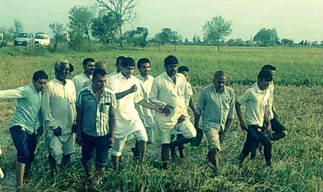 Rs 500 minimum compensation for Haryana farmers for crop loss due to ...