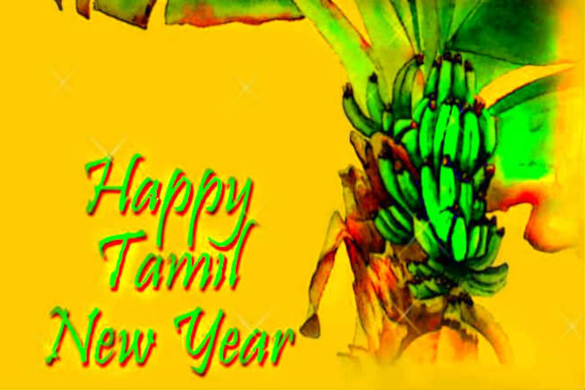 Happy Tamil New Year 2015: Tamil Nadu celebrates New Year | India.com