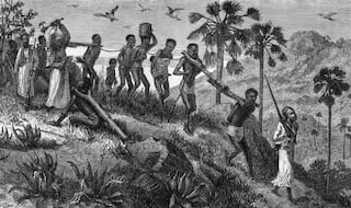 All you need to know about slavery: Top 5 facts that you must know!