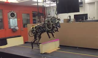 MIT Cheetah Robot performs running jump over hurdles - Watch Video