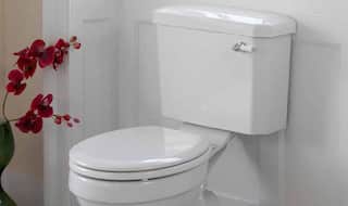 Top 4 facts about toilets you must know