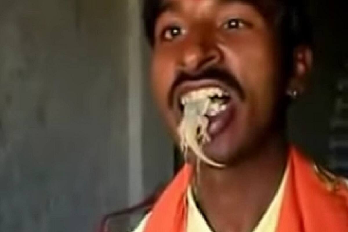 Yuck This Man From Punjab Eats Lizards Live Watch At Your Own Risk India Com this man from punjab eats lizards live