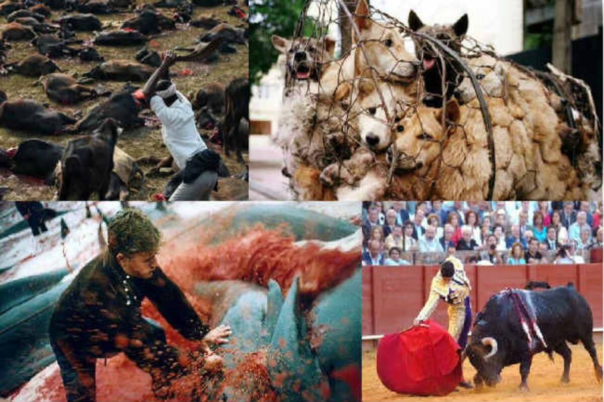 China's Yulin Dog Meat Eating Festival and these 4 Animal Cruelty Rituals  will leave you in tears! 