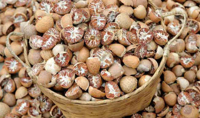 betel nut price today
