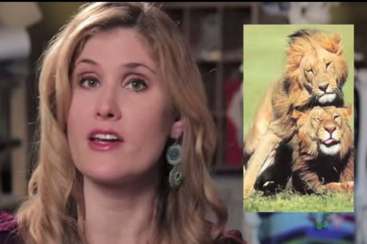 Gay Animals list: Lions, giraffes, bonobos display homosexual behaviour! (Video) Gay Animals list: Lions, giraffes, bonobos display homosexual behaviour! (Video)
