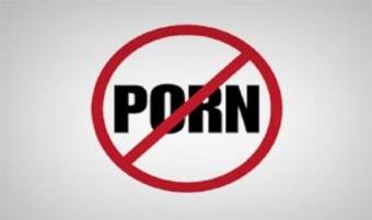 Porn ban: Telecom Ministry to allow those sites which do not host ...