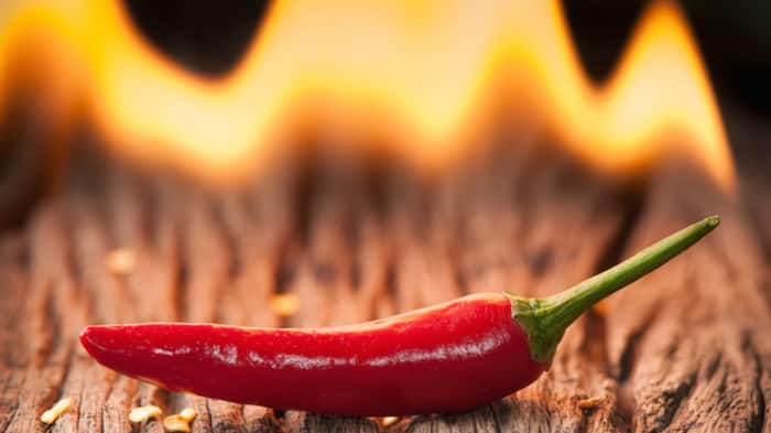 Red Chili