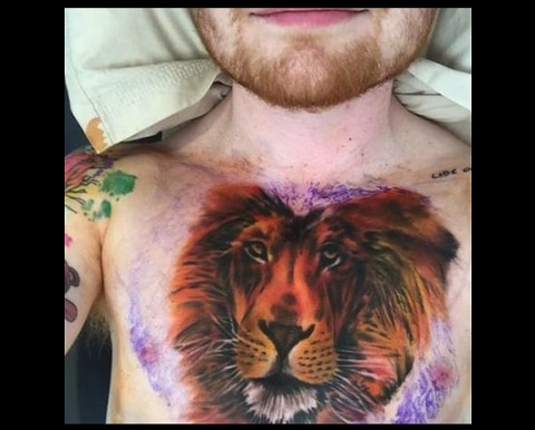 Ed Sheeran gets a massive lion inked on his chest after getting bitten by  the tattoo bug  Daily Record