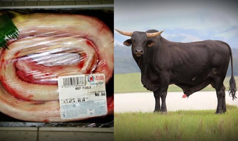 Would you ever want to try eating a bull’s penis? | India.com