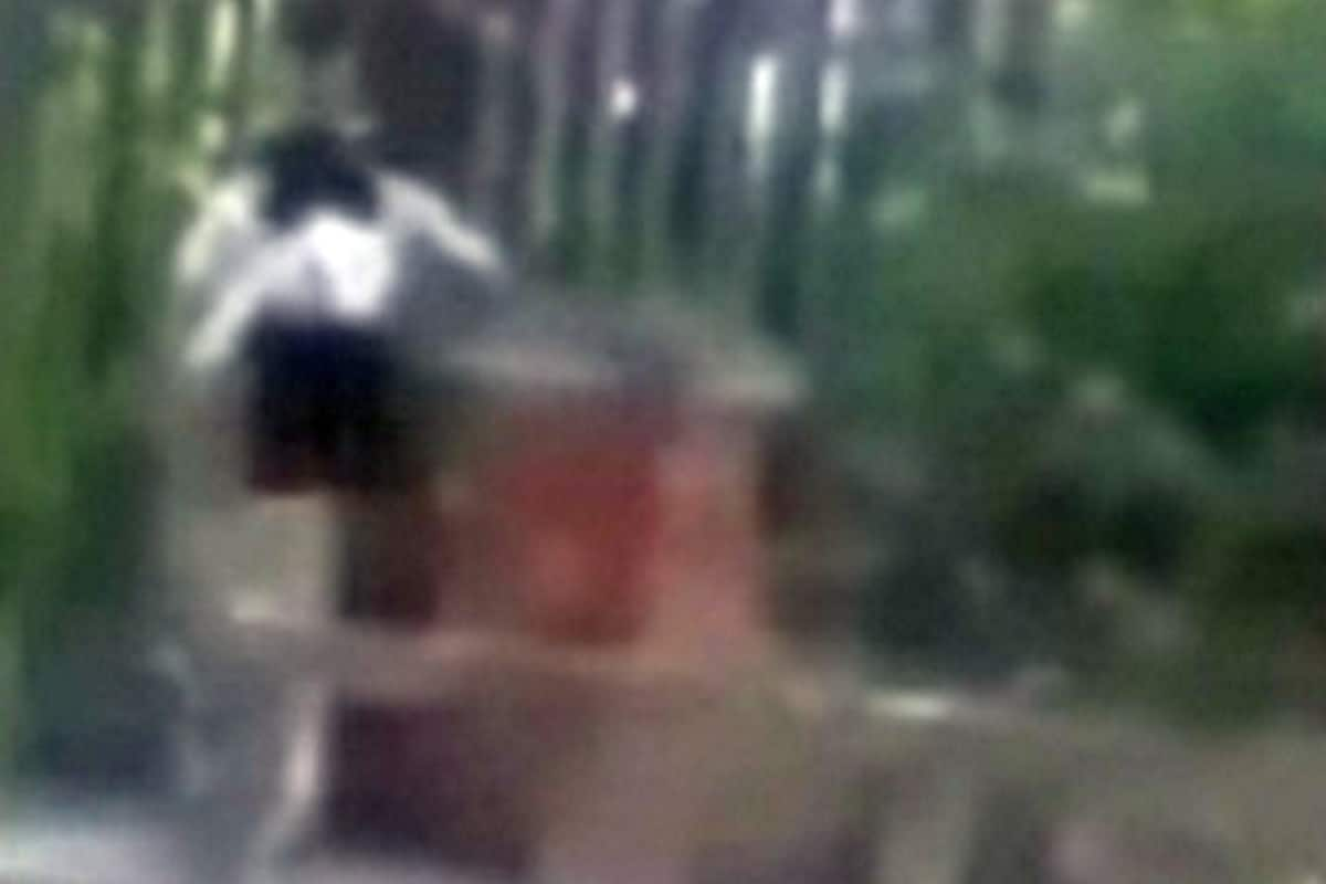 Cheating husband caught having sex in the street! (Watch video) | India.com