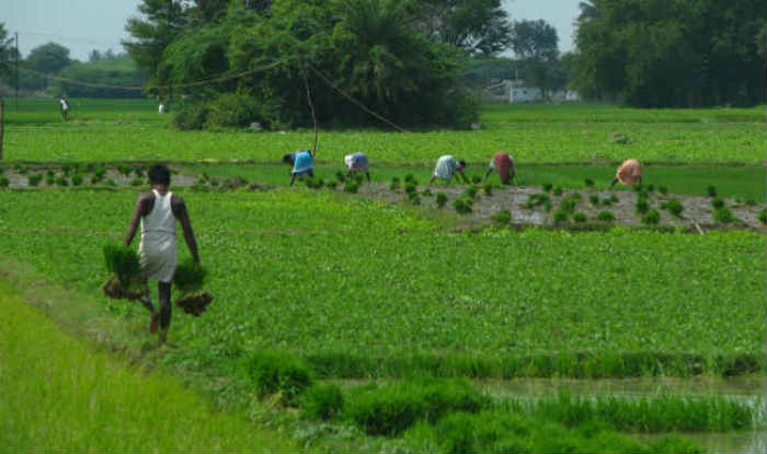 Journalist Duo Brings Documentary On Agrarian Crisis | India.com