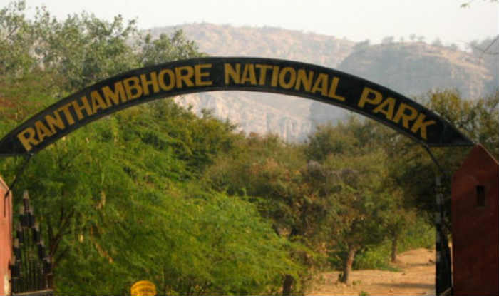 Explosive store poses threat at Ranthambhore fort | India.com