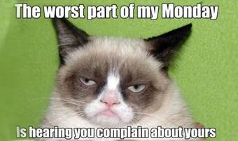 21 Grumpy Cat memes you can relate to every Monday of your life 