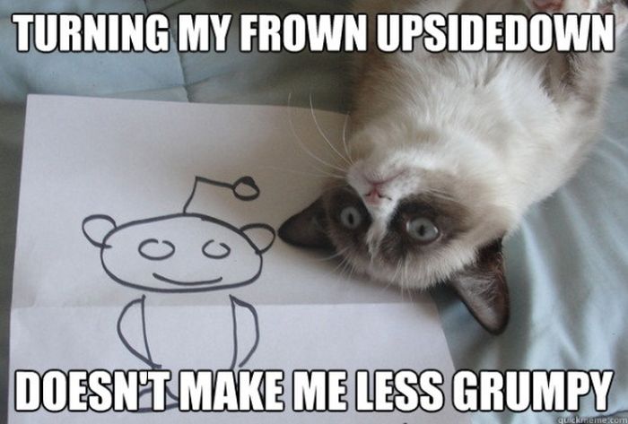 Grumpy Cat