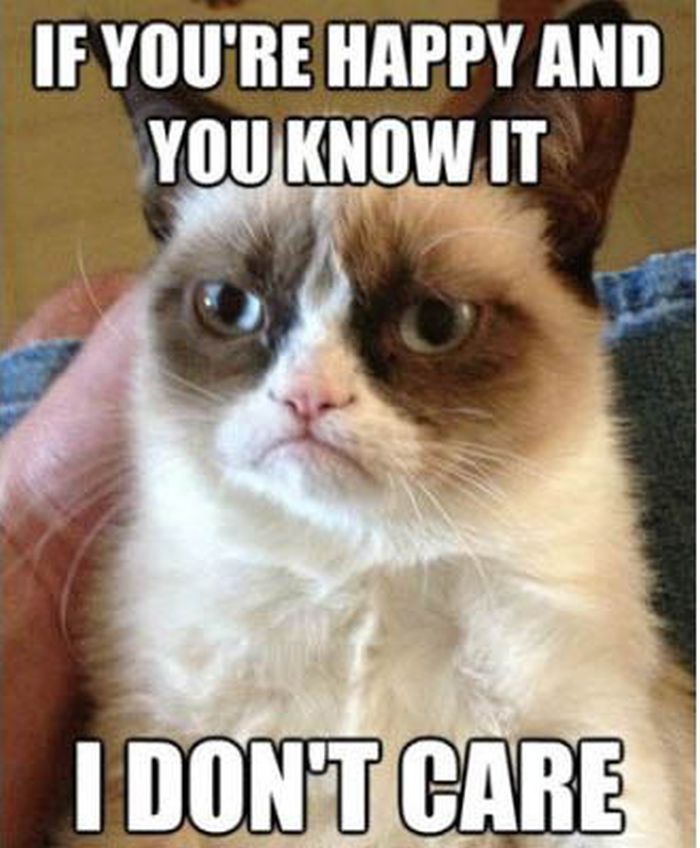 Grumpy Cat