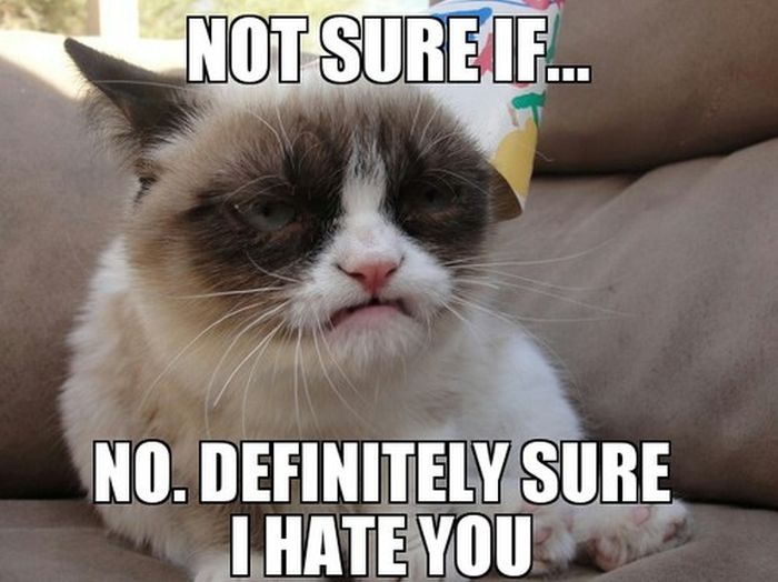 21 Grumpy Cat memes to instantly make you grumpy however happy you are!