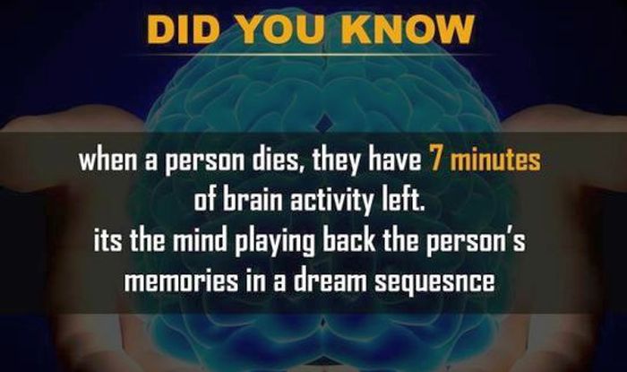 14 Facts about humans and human behaviour that will simply amaze you ...